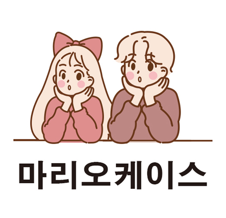 마리오케이스